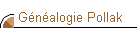 G�n�alogie Pollak